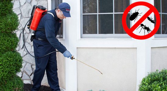 Korgun Hamam Böceği İlaçlama böcek ilaçlama ve haşere kontrolü — ilaclama-tr.com
